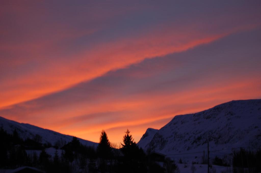 Fjellstova Orskogfjellet Cottages Sjøholt Kamer foto